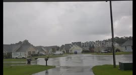 Lightning Strikes in a Suburban neighborhood.  Just 300 - 400 feet away, hitting a tree across the street