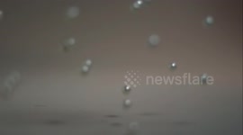 Fixed shooting of pearl falling in slow motion.