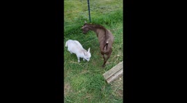 You Smell Funny