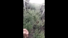 Ukrainian forces repel Russian advance: frontline footage tells the tale