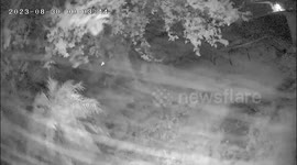 Dour conditions captured on security camera as Hurricane Idalia hits Florida