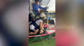 Dog goes wakeboarding by sitting on board with owner