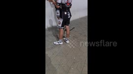 Cat's life -- Cats outside a dedicated cycle shop looking for food and is delighted to get some food. from cyclists in Qatar