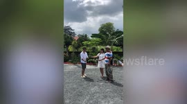 Couple throw pink gender reveal but later have a baby boy