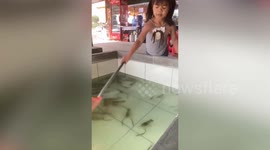 Clumsy little girl falls into pool while fishing for shrimp