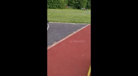 Silly Dog Forgets She's On Steps