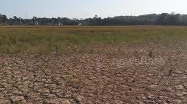Drone view : The impact of El Nino, rice fields around the National Capital (IKN) dry up to cracks