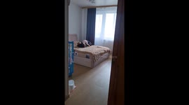Toddler and Dobermann Playing on the Bed