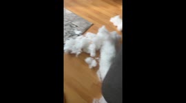 Nesting Dog