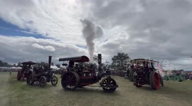 Dozens of steam-powered tractors line up for Shrewsbury Steam Rally