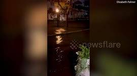 Hurricane Idalia: Video shows flooding in Tampa, Florida
