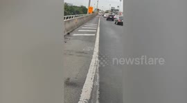 Rescue teams save kitten stranded on motorway in Thailand