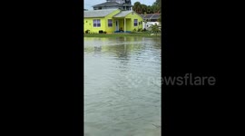Hurricane Idalia brings storm surge waters to Florida residents' homes