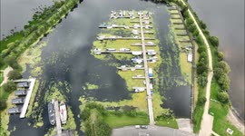 Toxic algae lines surface of Northern Irish lake, posing risk to wildlife and pets