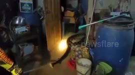 Animal rescuers drag massive python out of family's home