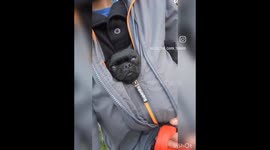 Chilly little doggo hates going outside for walk on cold day