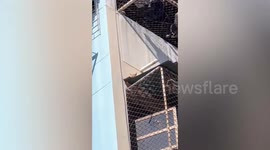 Resident climbs out of window and walks on roof to save trapped cat