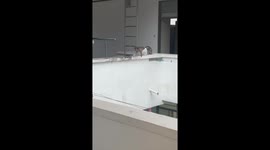 Monkey mishap: a hilarious encounter with clothes-thieving primate at UUM, Malaysia