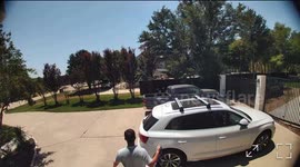 Excited Dog Does Parkour On Closed Car