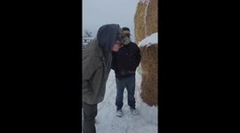 Freeing A Cow Lost In The Sauce