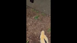 Three Misfits Meet For Merriment
