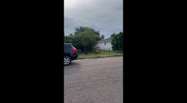 Strange Pet Spotted In Yard