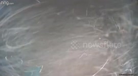 US: Dust Storm Hits Phoenix Metropolitan Area, Leaving Tens Of Thousands Without Power 4