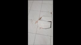 tiles suddenly pop up on a rented house