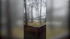 Terrifying moment tree falls on house as Hurricane Idalia rocks Florida
