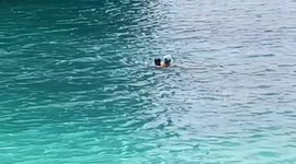 Braveheart! Scottish swimmer rescues Spaniard drowning on tropical beach in Thailand