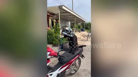 Chilled pet dog in sun hat sits on the back of motorcycle