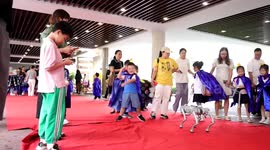 Hangzhou primary students start new semester with activities on Asian Games