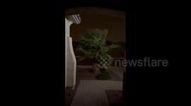 US: Dust Storm Hits Phoenix Metropolitan Area, Leaving Tens Of Thousands Without Power 8