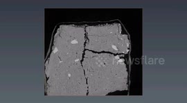 Bronze Age burial urns show ancients were cremated with animals and their jewellery