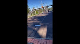 Train Is More Interesting Than Dad