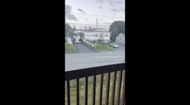 Nosey Cat Neighbor