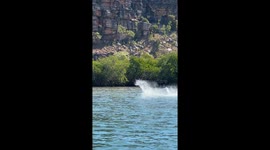 Hammerhead Shark Hunts Stingrays