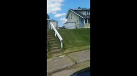 Perfect Solution For A Perfect Lawn
