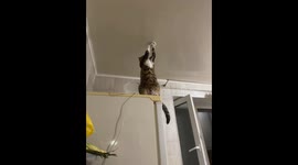 Not Sure About this Electrician