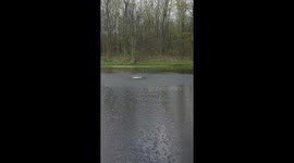 Out-of-Nowhere Waterspout