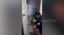 Firemen picks up cobra from toilet floor and puts it in empty water bottle