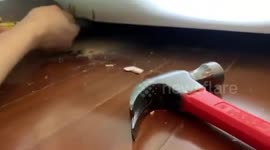 Kitten stuck in space under bedroom cabinet rescued