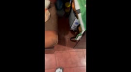You Won't Believe How Grandma Fixed Her Glasses