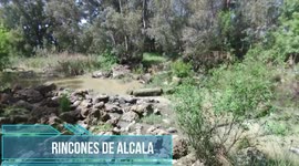 Vistas del rio Guadaira a su paso por Alcalá de Guadaira zona conocida como molino hundido.