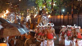 Hundreds of Colourful Elephants Parade through the streets of Candy during Esala Parahera