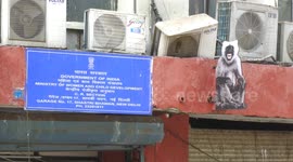Langur Cutouts In Delhi Ahead Of G20 Summit to scare off monkeys along G20 routes