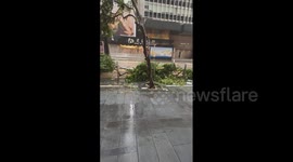 Hong Kong: Aftermath Of Super Typhoon Saola 2
