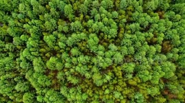 Exploring burgeoning eco-tourism in north China's border city