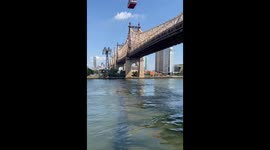 View of Roosevelt Island from Andrew Haswell Green Park in Manhattan, New York City