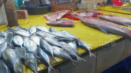 Mandaue City Cebu Wet Market